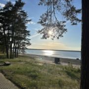 ELNET tunnustab 2026